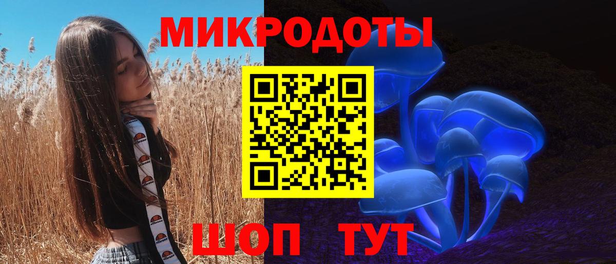 Псилоцибиновые грибы прущие грибы Салехард