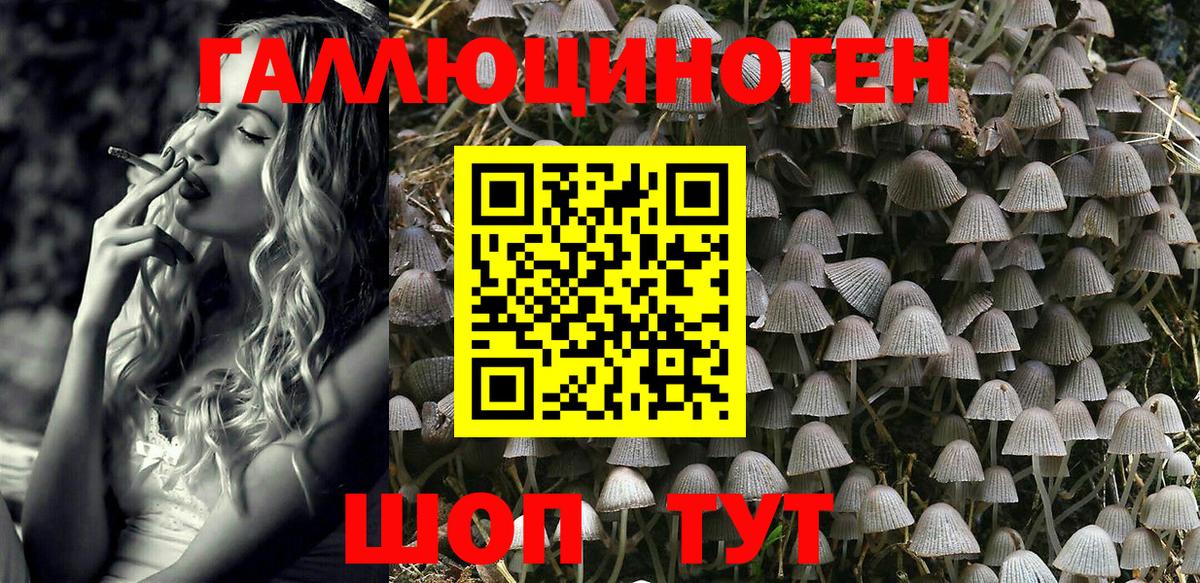 Салехард  Псилоцибиновые грибы мухоморы  Вход с VPN 
